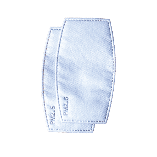 Reusable filter PM2.5 - Cochic