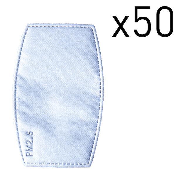 Reusable filter PM2.5 - Cochic