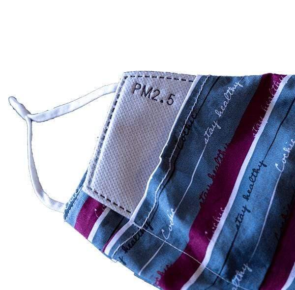 “Stay Healthy” 99.9% Antibacterial Mask - Vintage Blue - Cochic