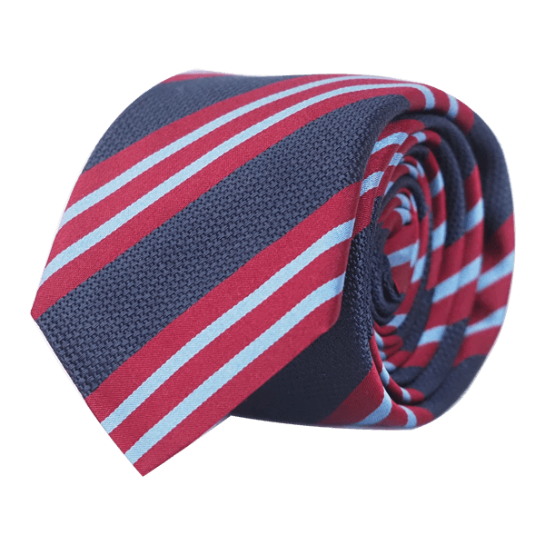 BACHELOR TIE RED AND BLUE - SKINNY - Cochic