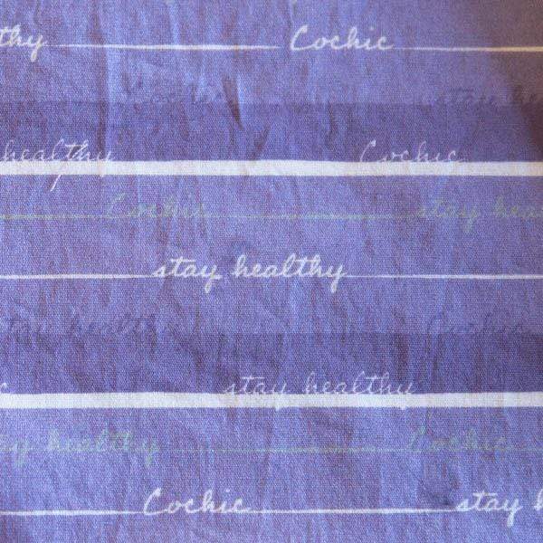« Stay Healthy » Blush bag